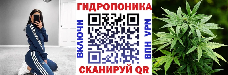 Купить закладку Канабис  Меф мяу мяу  COCAIN  ГАШ  Тейково