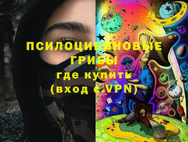 стаф Баксан