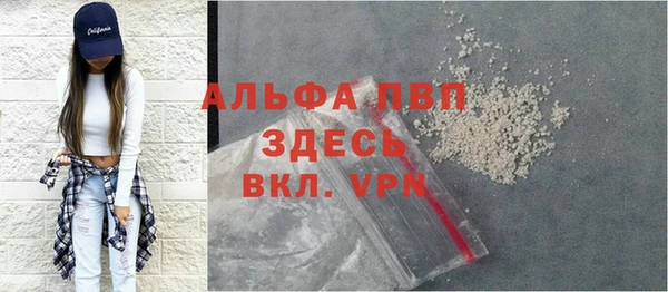 стаф Баксан