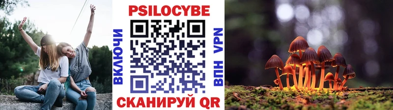 Купить где  Тейково  Псилоцибиновые грибы MAGIC MUSHROOMS 